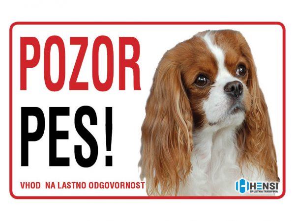 Cavalier king