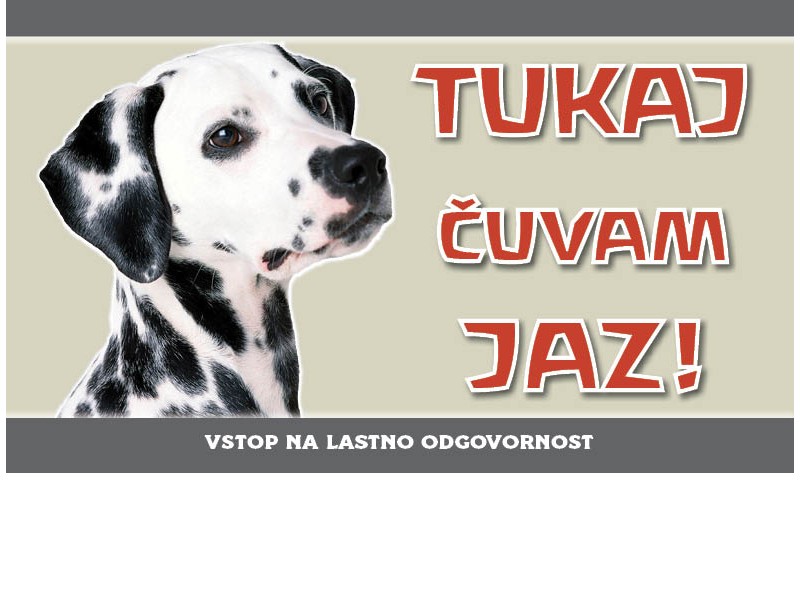 Dalmatinec cuva