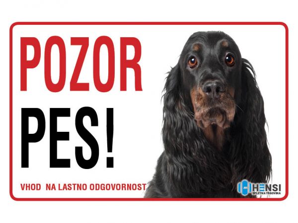 Gordon setter