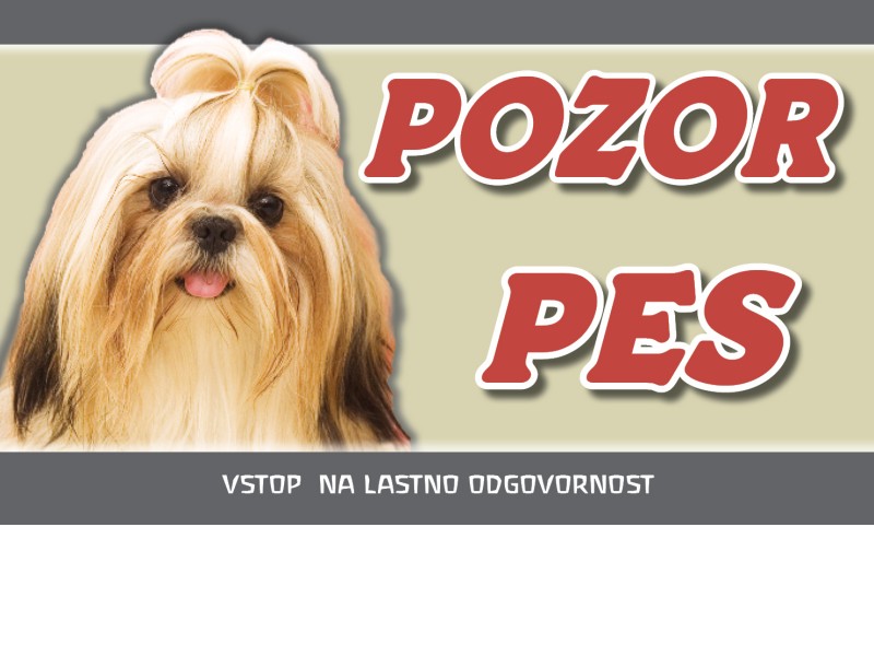 SHIH TZU 25x15 pozor pes (1)