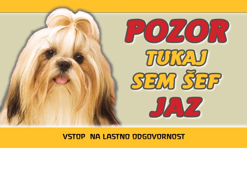 SHIH TZU 25x15 sef