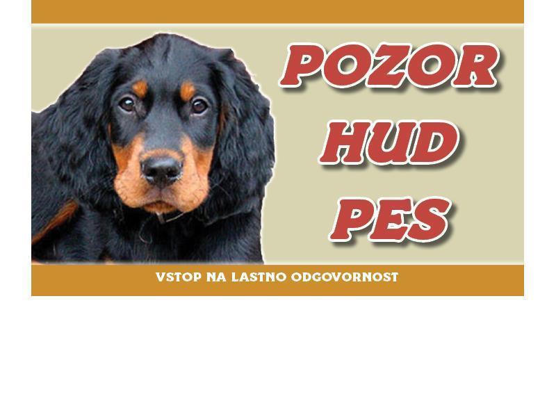 Tabla75 Gordon setter