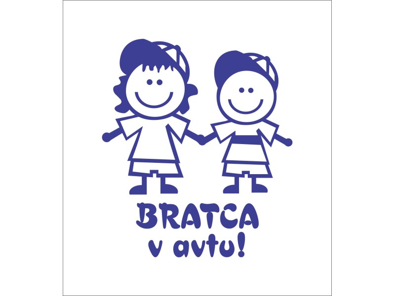 bratca v avtu